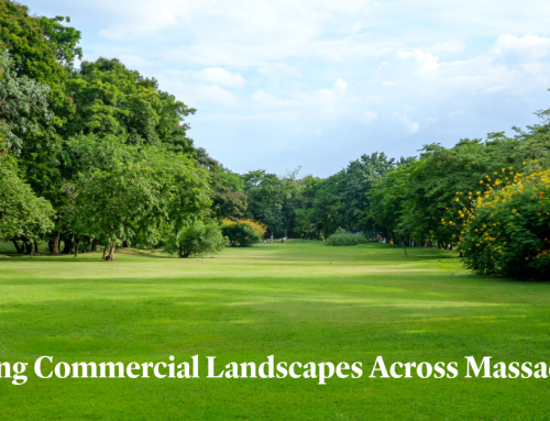 Designing Commercial Landscapes Across Massachusetts