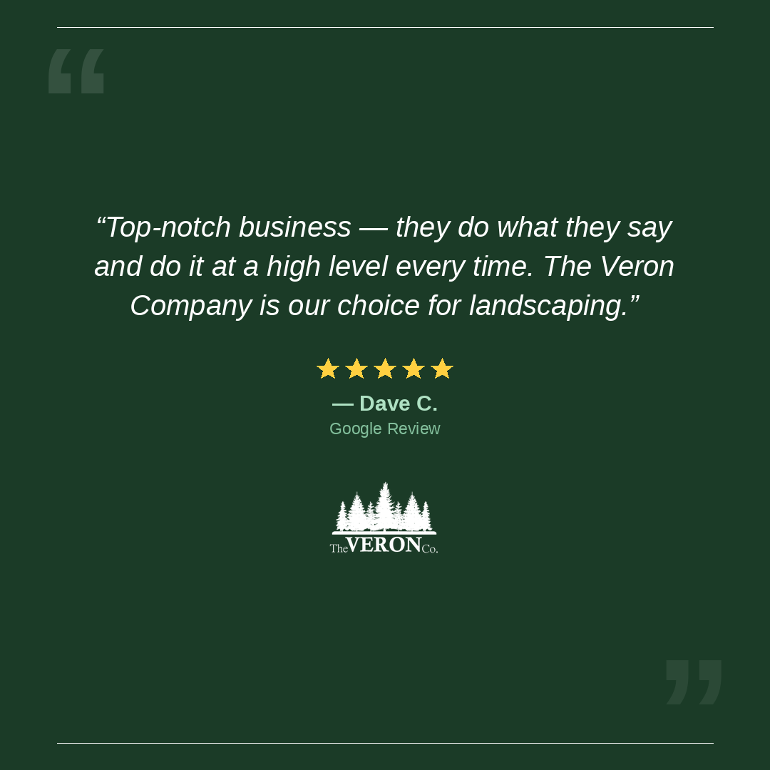 Customer review for The Veron Company - Dave