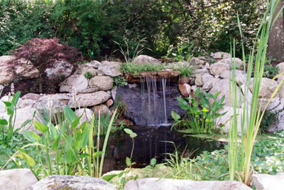 67f9983f401a0c100ed363f142b84bc0