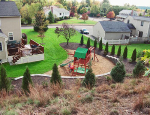 Low-Maintenance Commercial Landscaping