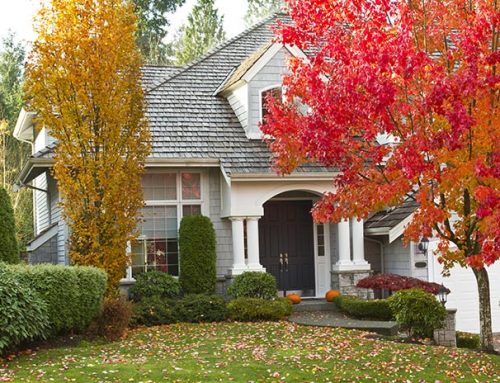 Start Planning For Your Fall Landscaping Cleanup Services