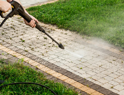 Spring Clean Up Services Is The Key To Your Summer Yard