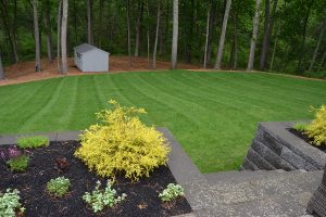 Landscape Design and Plantings