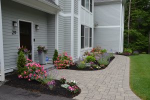 Landscape Design and Plantings