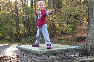 Landscape Design and Plantings