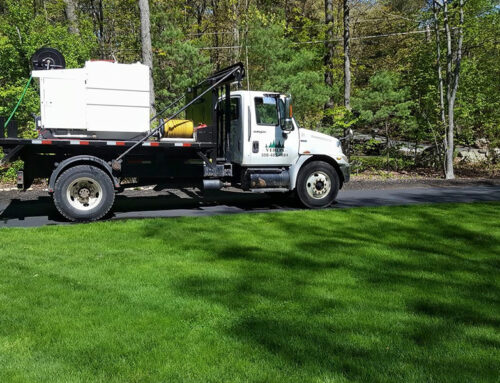 Reasons To Hire A New Commercial Landscaping Company