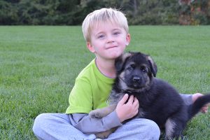 Landscape Design and Plantings