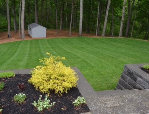 A Few Spring Landscape Maintenance Tips