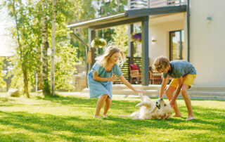 Is Your Landscaping Suffering From Summer Lawn Stress?