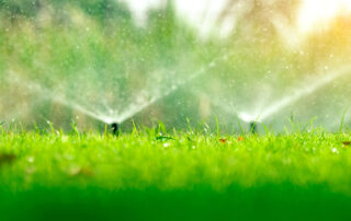 Schedule Your Irrigation System Blowout Today