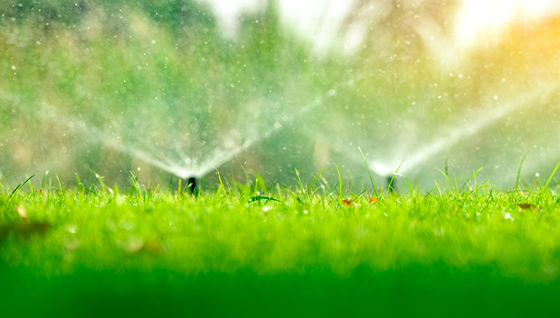 Schedule Your Irrigation System Blowout Today