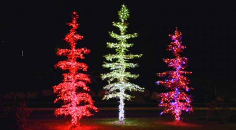 Holiday inflatables and yard decorations