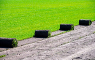 Sod Installation Company in MA