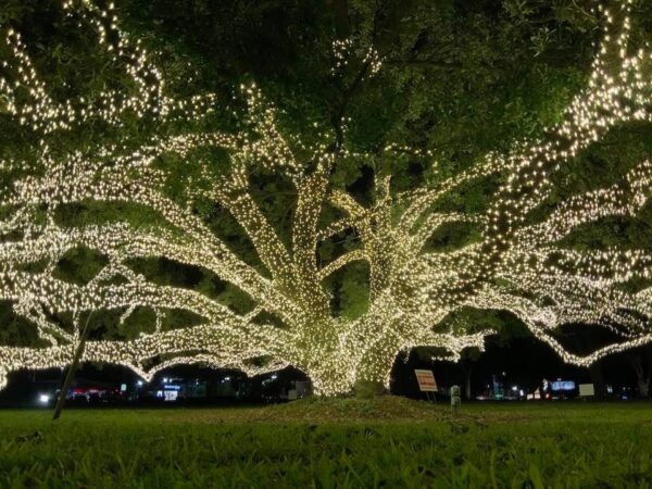Holiday lighting display Massachusetts