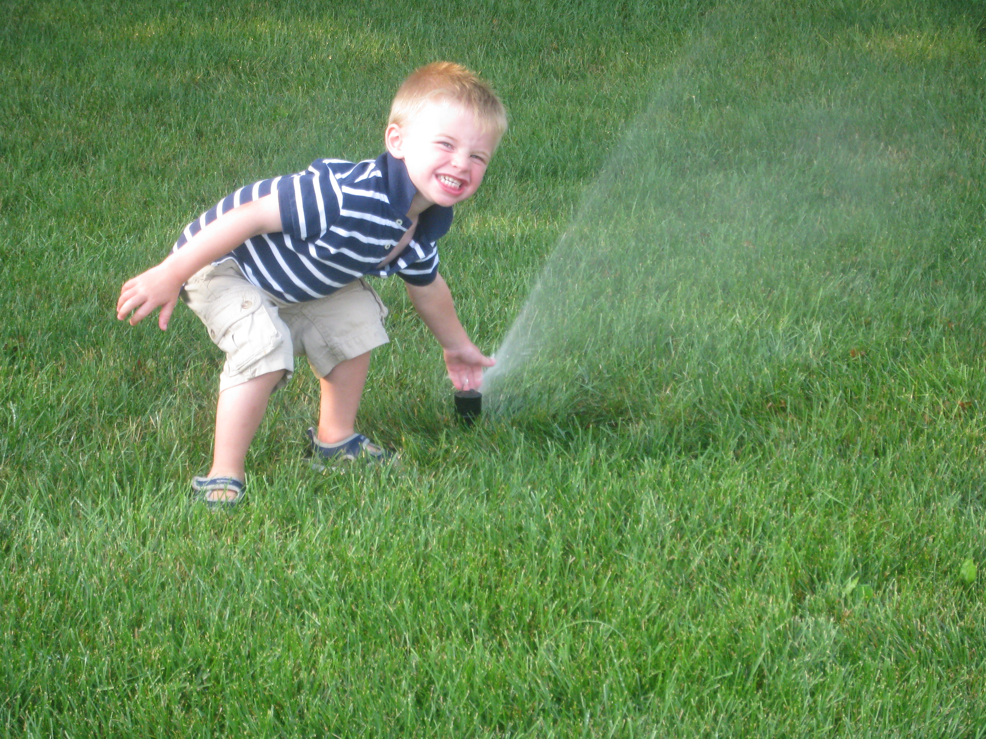 Sprinkler Irrigation w Connor