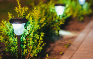 Outdoor Landscaping Lighting