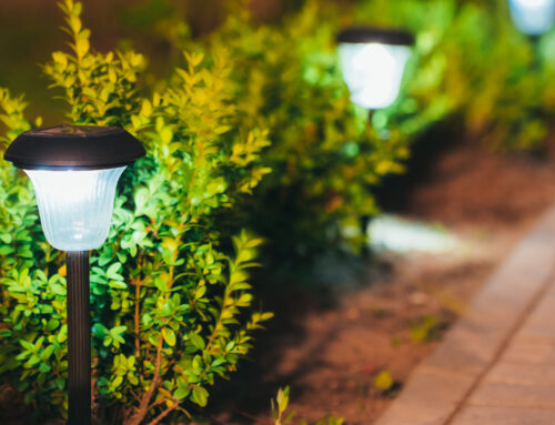 Outdoor Landscaping Lighting Will Enhance Your Building