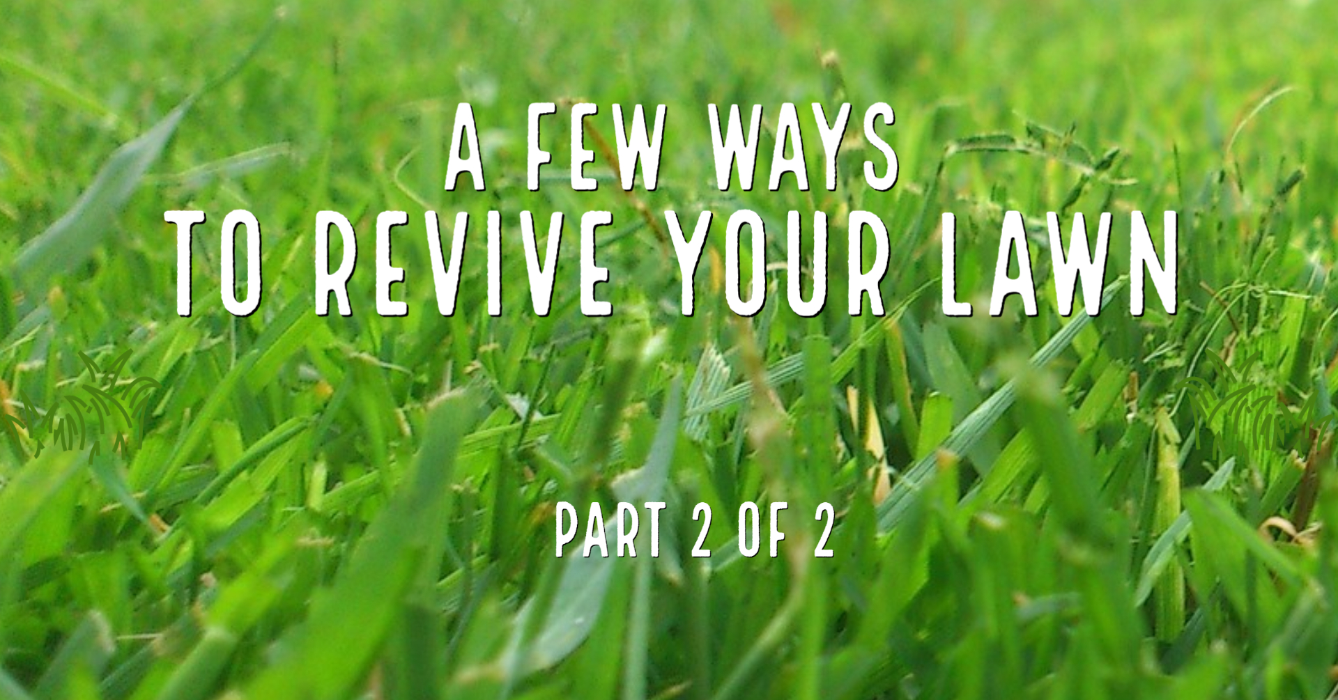 A Few Ways To Revive Your Lawn- Part 2 of 2