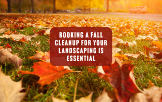 Booking A Fall Cleanup for Your Landscaping is Essential