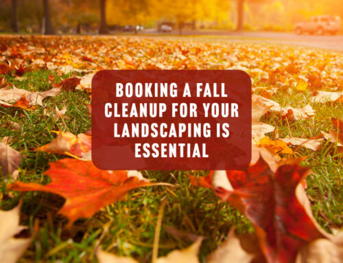 Booking A Fall Cleanup for Your Landscaping is Essential