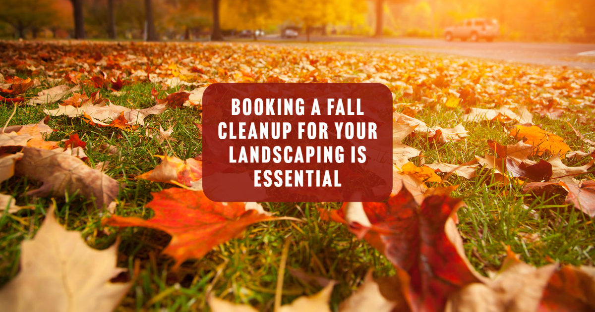 Booking A Fall Cleanup for Your Landscaping is Essential