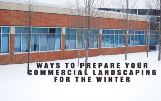 Ways to Prepare Your Commercial Landscaping for the Winter