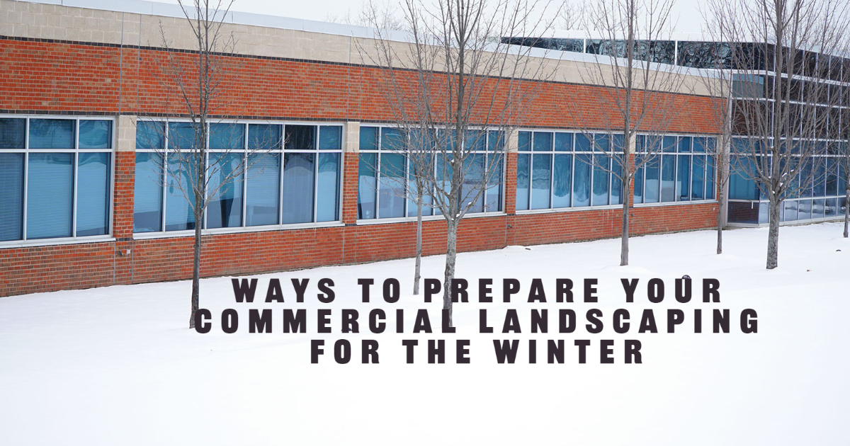 Ways to Prepare Your Commercial Landscaping for the Winter