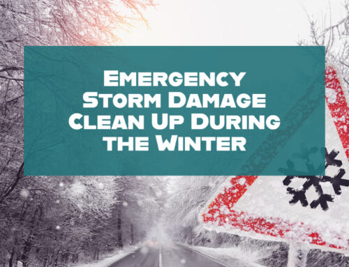 Emergency Storm Damage Clean Up During the Winter