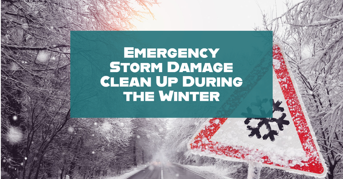 Emergency Storm Damage Clean Up During the Winter