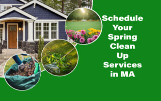 Schedule Your Spring Clean Up Services in MA