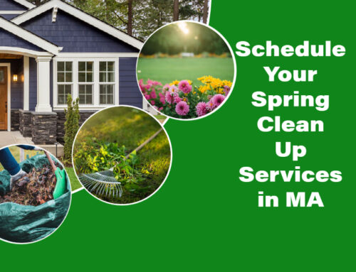Schedule Your Spring Clean Up Services in MA