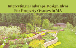 Interesting Landscape Design Ideas For Property Owners in MA