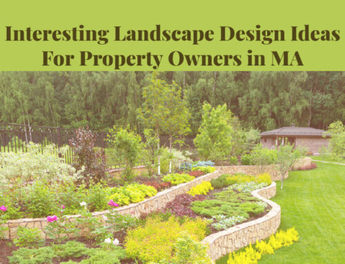 Interesting Landscape Design Ideas for Property Owners in MA