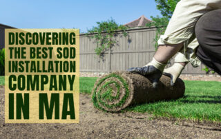 Discovering the Best Sod Installation Company in MA