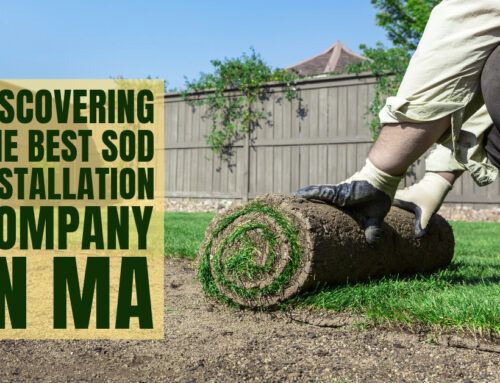 Discovering the Best Sod Installation Company in MA