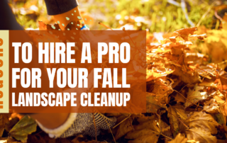 Reasons To Hire a Pro for Your Fall Landscape Cleanup