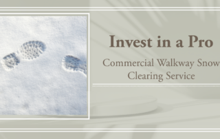 Invest in a Pro Commercial Walkway Snow Clearing Service