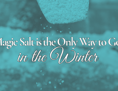 Magic Salt is the Only Way to Go in the Winter