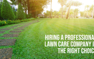 Hiring a Professional Lawn Care Company is the Right Choice