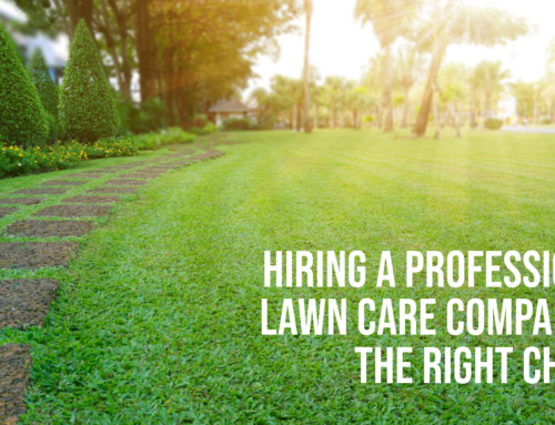 Hiring a Professional Lawn Care Company is the Right Choice