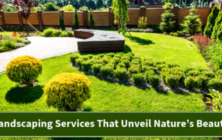 Landscaping Services That Unveil Nature’s Beauty