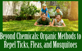 Beyond Chemicals Organic Methods to Repel Ticks Fleas and Mosquitoes