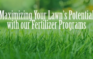 Maximizing Your Lawn’s Potential with our Fertilizer Programs