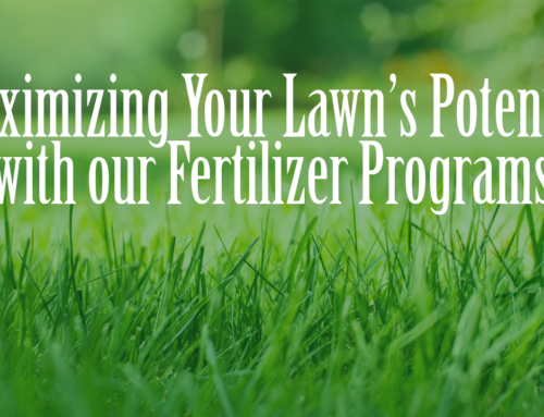 Maximizing Your Lawn’s Potential with our Fertilizer Programs