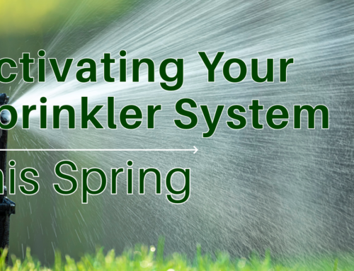Activating Your Sprinkler System this Spring