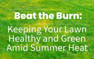 Beat the Burn: Keeping Your Lawn Healthy and Green Amid Summer Heat