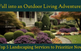 Top 5 Landscaping Services to Prioritize Now