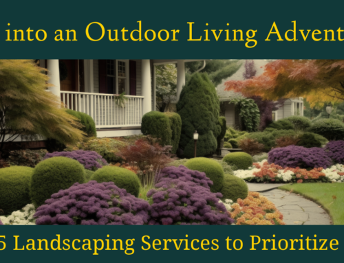 Fall into an Outdoor Living Adventure: Top 5 Landscaping Services to Prioritize Now