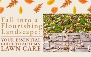 Your Essential Guide to Autumn Lawn Care