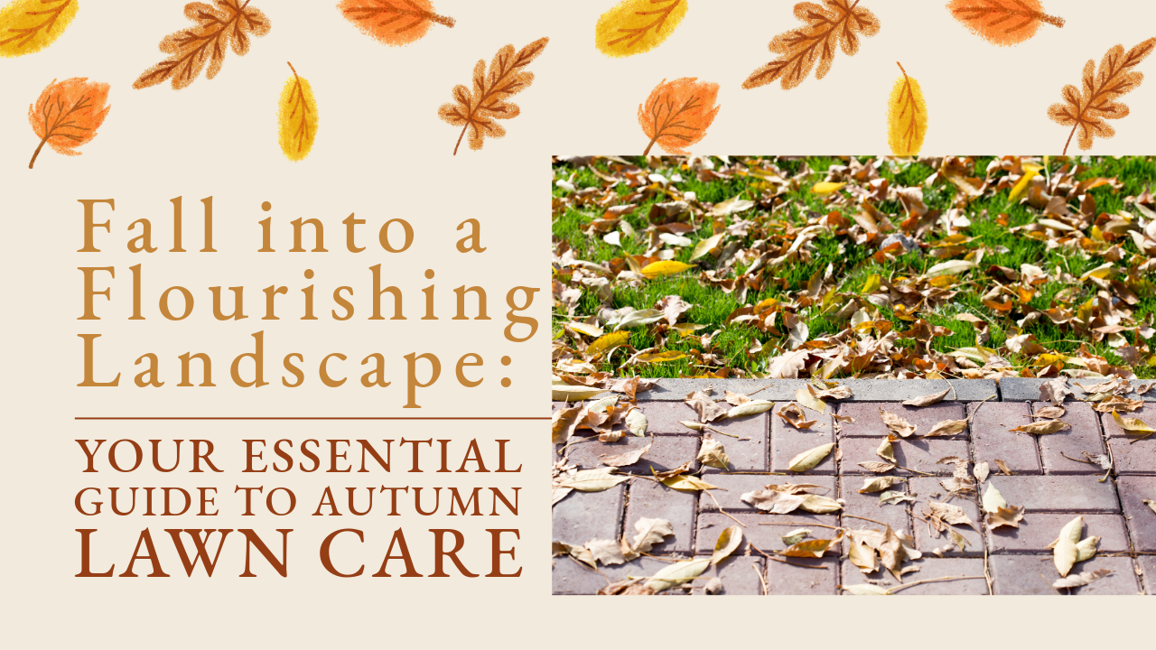 Your Essential Guide to Autumn Lawn Care